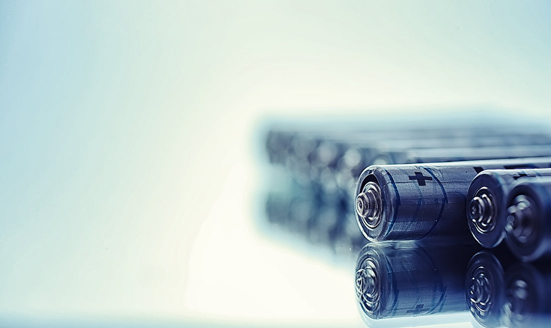 Has Elon Musk Discovered The Secret to the "Internal Human Battery"?