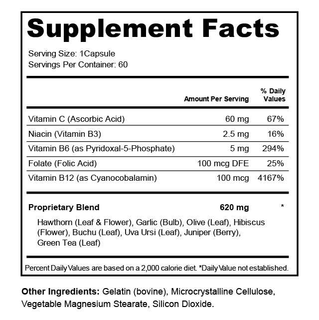 Physio Pulse