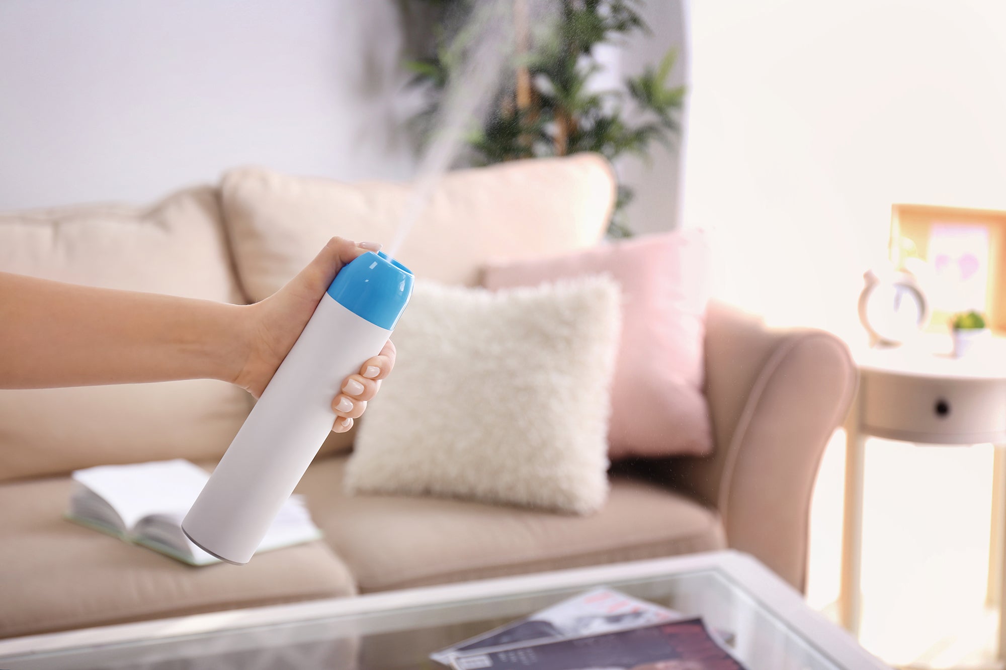Is Your Home Air Freshener TOXIC? PhysioTru