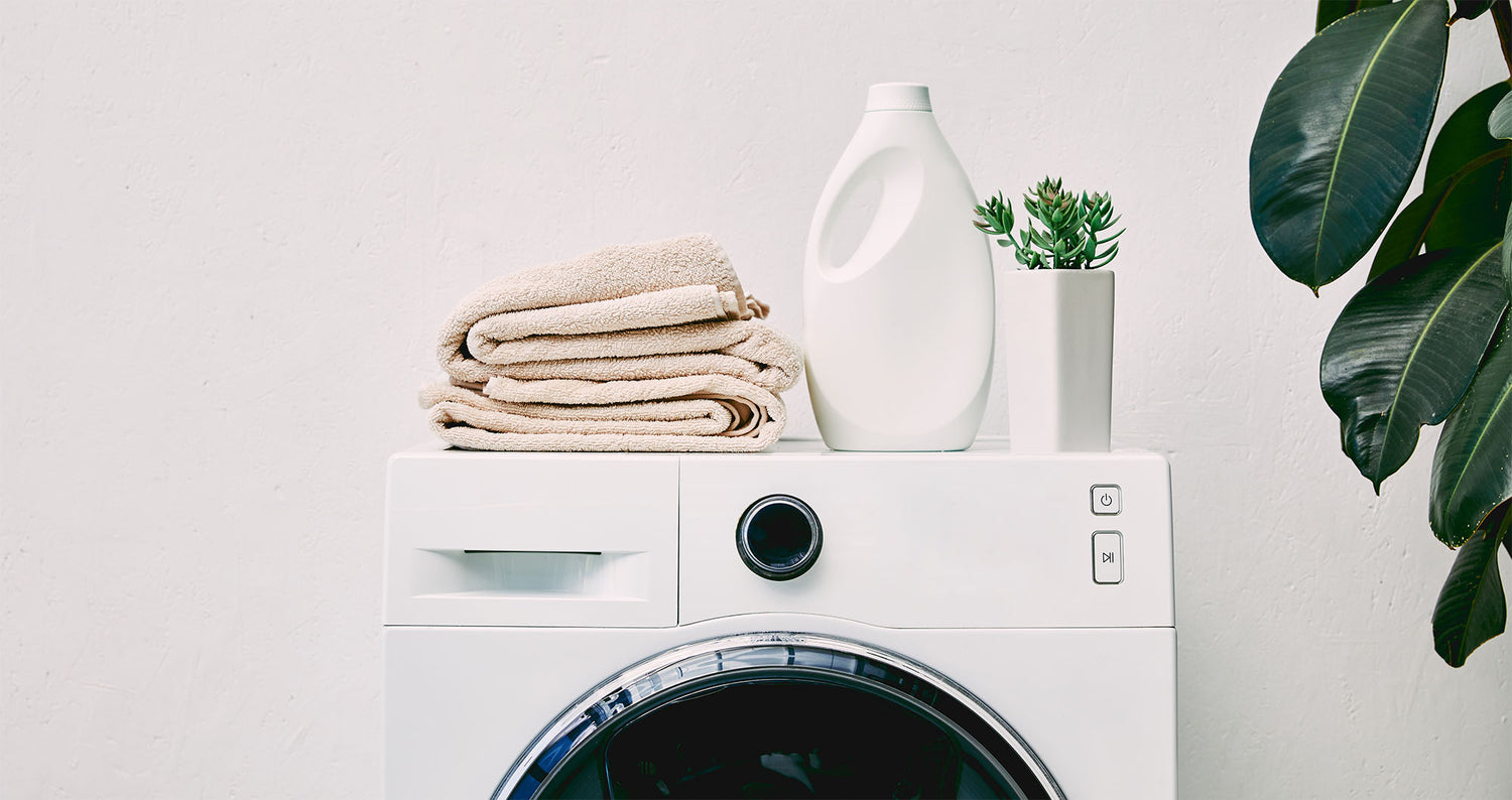 5 Filthy Places In Homes That Can Make Us Sick PhysioTru