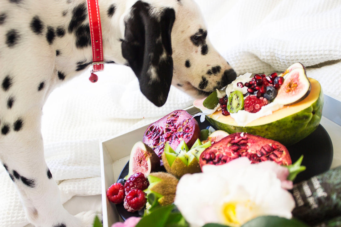 What Food Is Actually Safe For Your Pet To Eat?