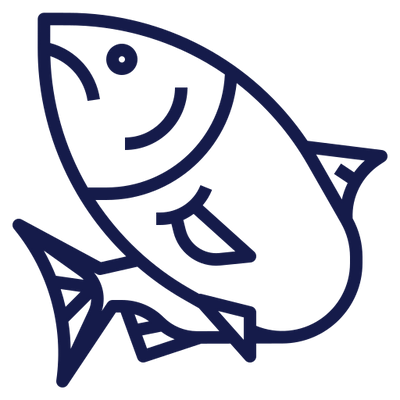 fish-image